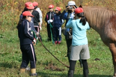 IMG_3371.JPG